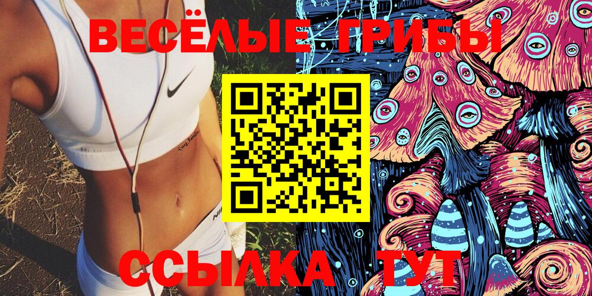 Кандалакша  Псилоцибиновые грибы Magic Shrooms  Вход с VPN  Псилоцибиновые грибы GOLDEN TEACHER 